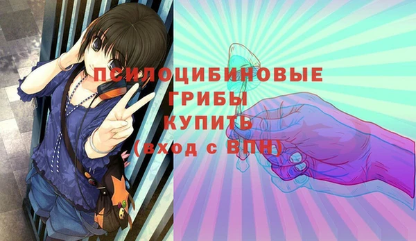 мяу мяу мука Аркадак