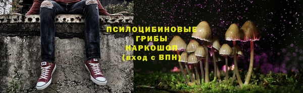 мяу мяу мука Аркадак