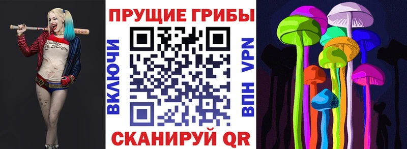 где купить наркоту  Пошехонье  Галлюциногенные грибы мухоморы 